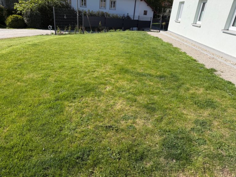 Vorher